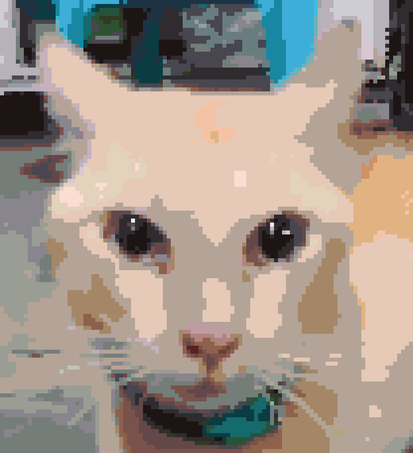 丑橘