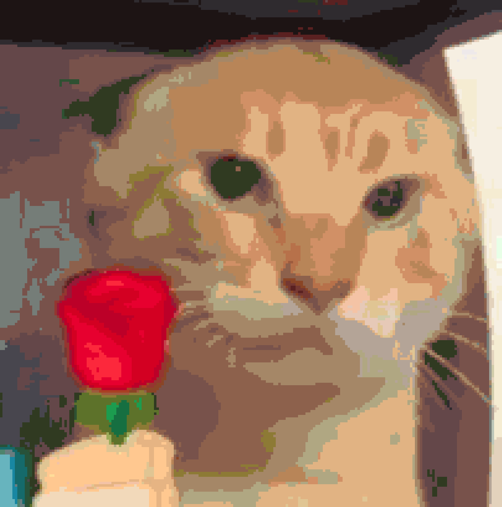 送花耄耋