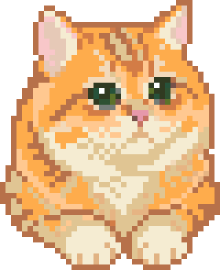 小橘猫